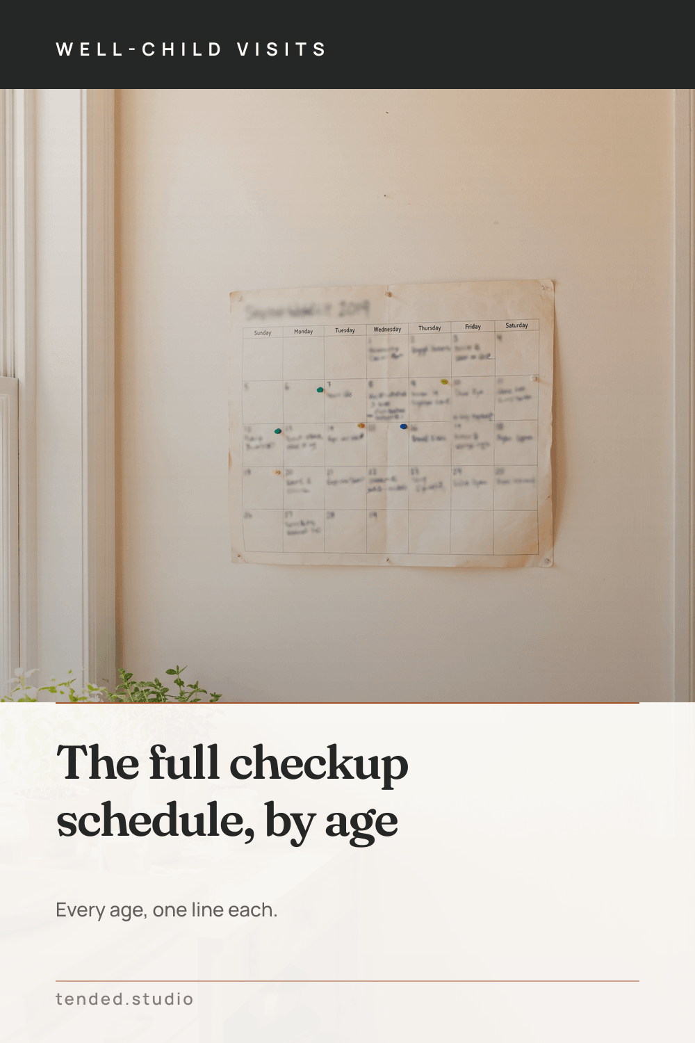 WELL-CHILD VISITS — The full checkup schedule, by age — Every age, one line each.